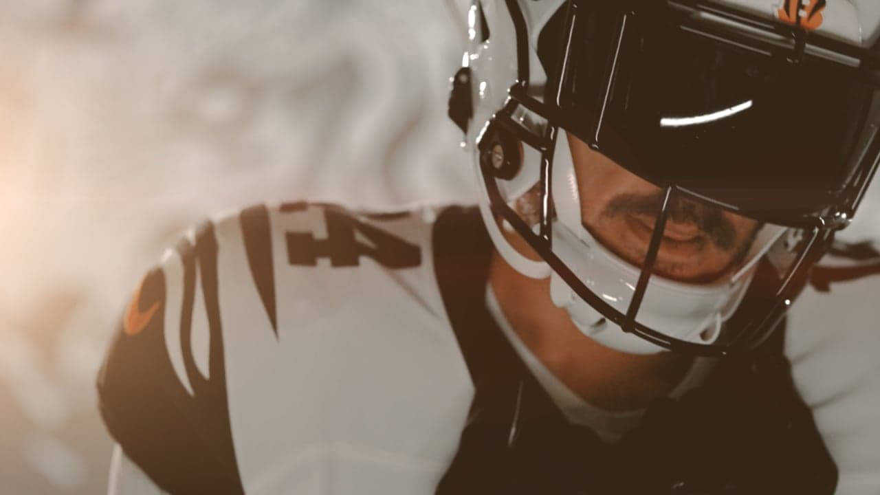 BENGALS × CANVUS — Canvus × Bengals launch campaign